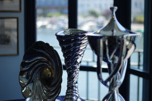 Henley Royal Regatta New Trophies Unveiling