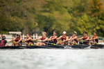 Access All Areas Pass - Head of the Housatonic