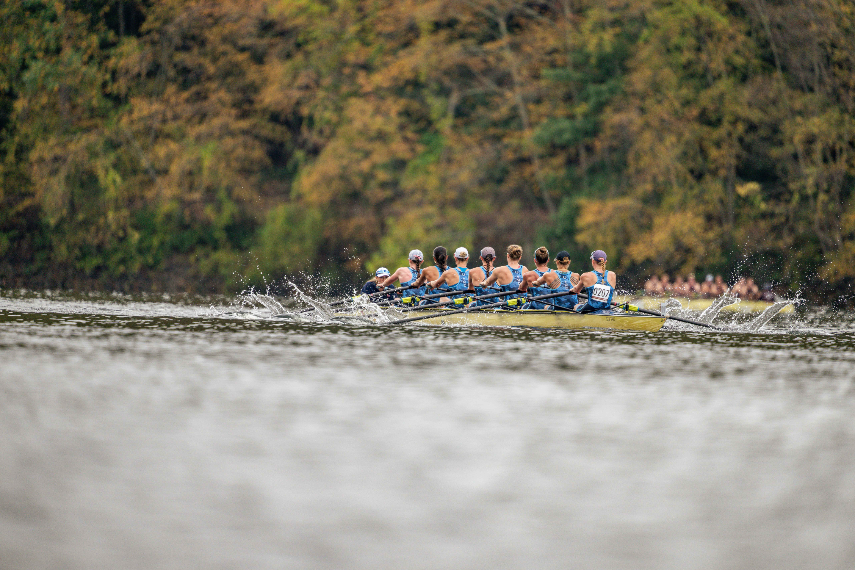 Access All Areas Pass - Head of the Housatonic