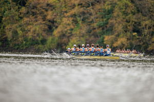 Access All Areas Pass - Head of the Housatonic